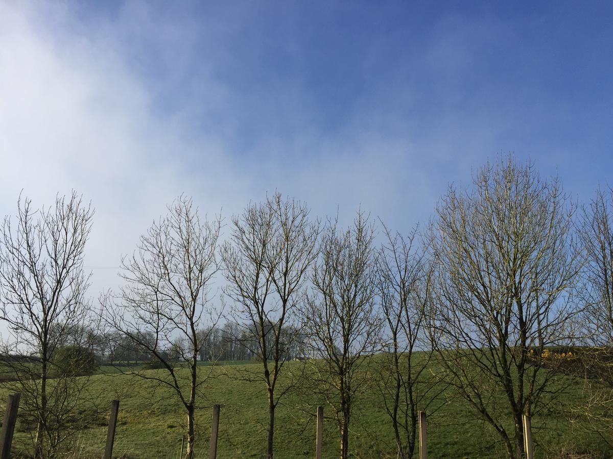 Marnic House Bed & Breakfast Ballyhaunis Luaran gambar